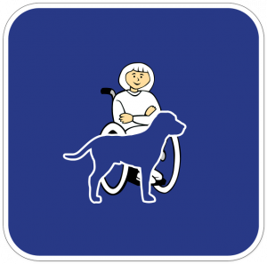 Le chien est une aide précieuse pour une personne handicapée ou à mobilité réduite